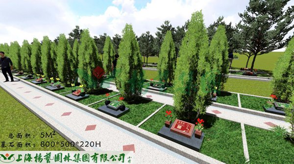 1-22020Z95Z4464 非凡国际(中国区)有限公司-官方网站