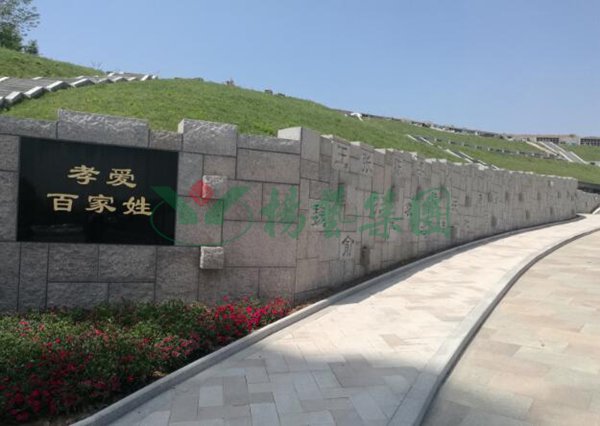 1-2202110Z931317 非凡国际(中国区)有限公司-官方网站