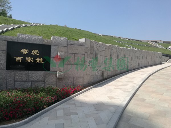 1-2202140RSIY 非凡国际(中国区)有限公司-官方网站