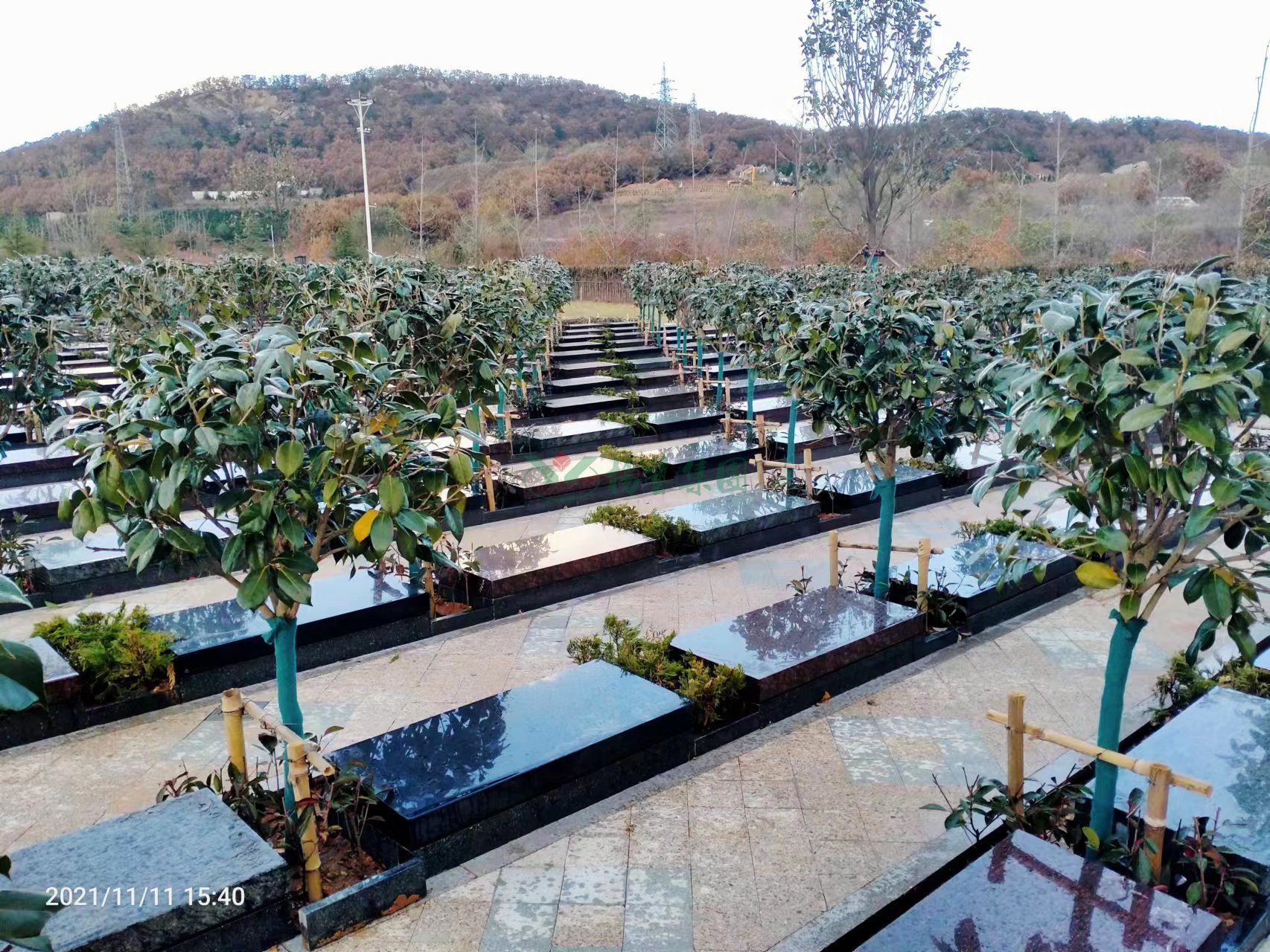 1-22052G42040236 非凡国际(中国区)有限公司-官方网站