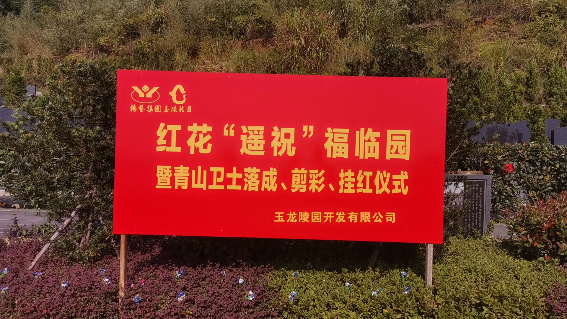 红花传爱意，情满玉龙园！