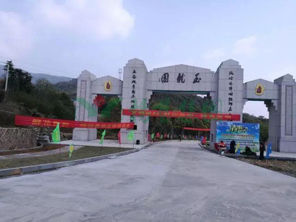 非凡国际(中国区)有限公司-官方网站