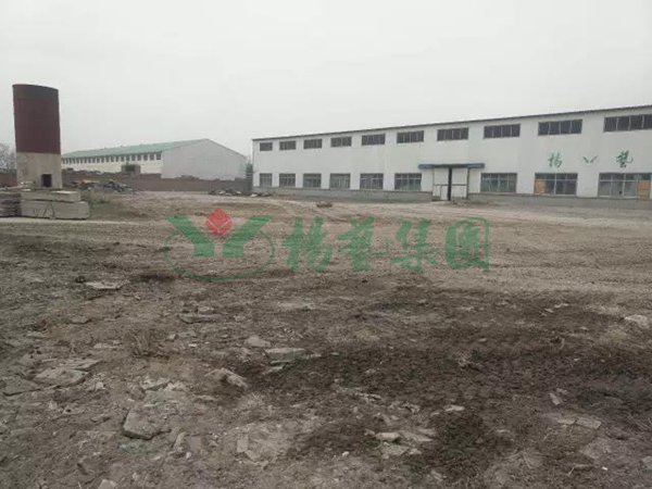 非凡国际(中国区)有限公司-官方网站