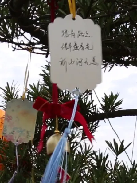 1-240405105614100 非凡国际(中国区)有限公司-官方网站