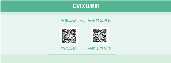 1-240405105F4637 非凡国际(中国区)有限公司-官方网站