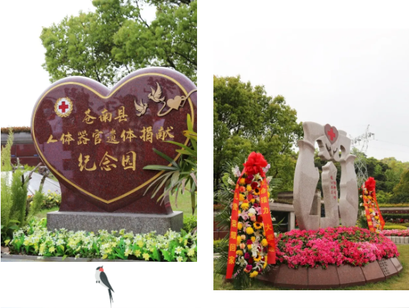 1-2404060951244F 非凡国际(中国区)有限公司-官方网站