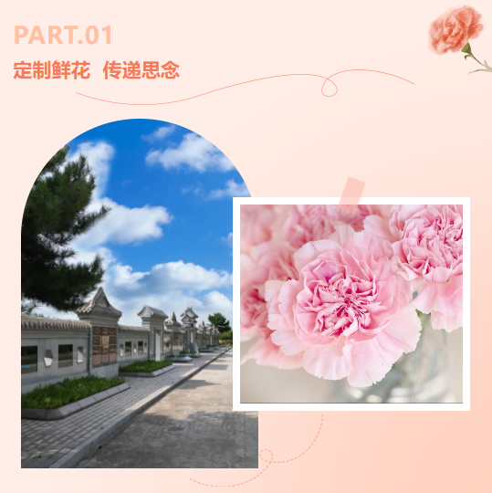 1-240615104R3123 非凡国际(中国区)有限公司-官方网站