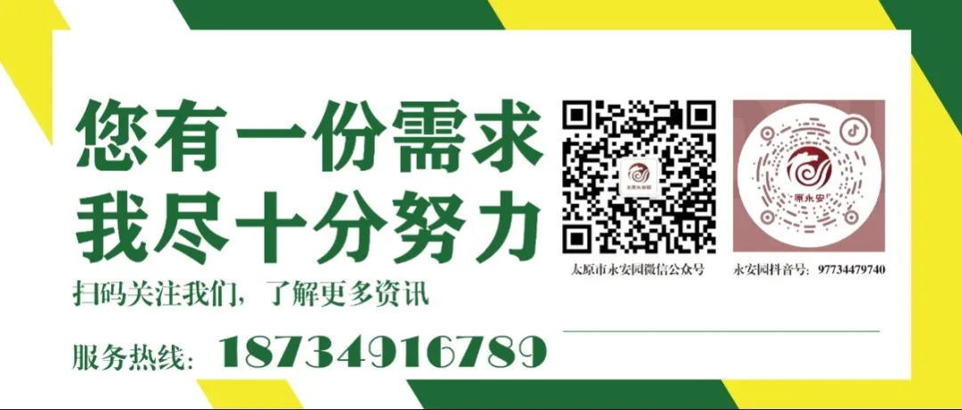 1-240615110356491 非凡国际(中国区)有限公司-官方网站