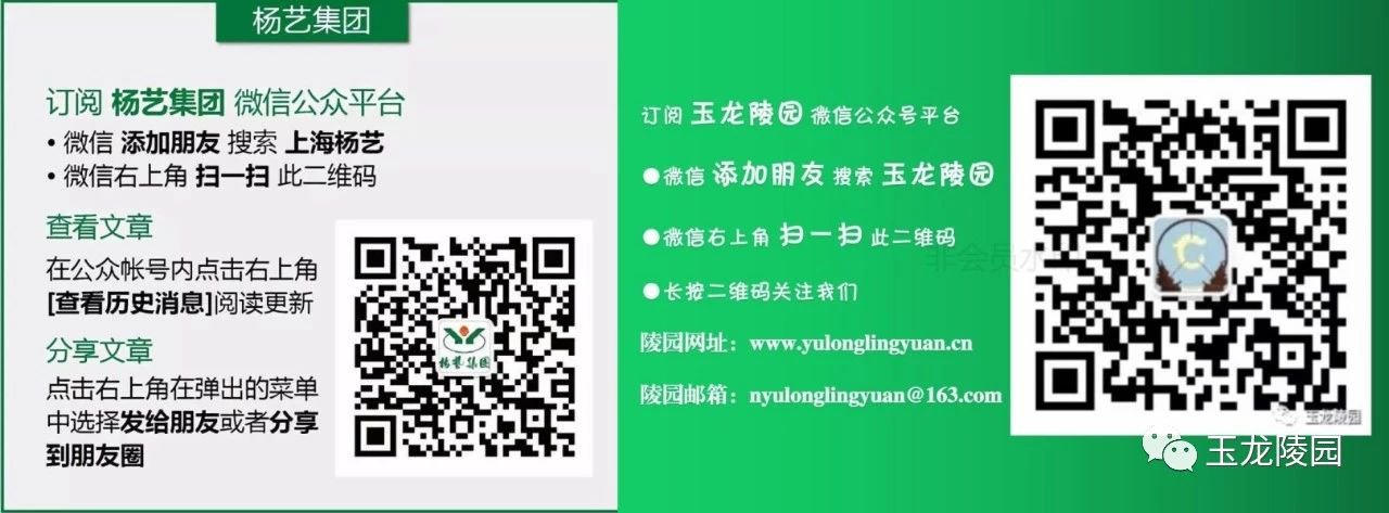 1-25040309312M41 非凡国际(中国区)有限公司-官方网站