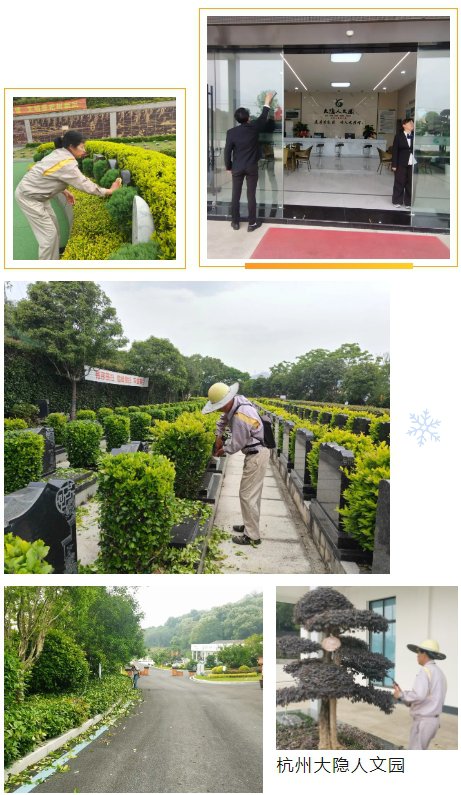 1-250505093S2264 非凡国际(中国区)有限公司-官方网站
