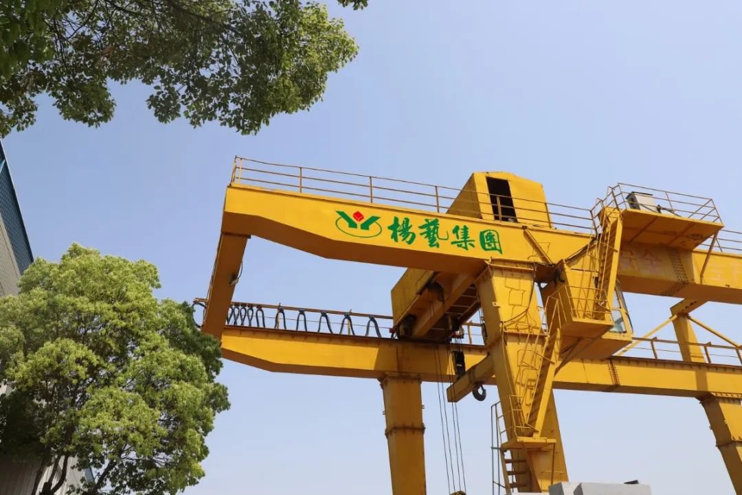 1-25050509512A58 非凡国际(中国区)有限公司-官方网站