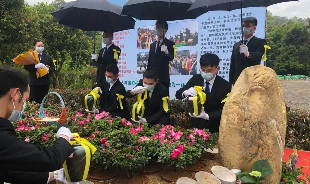 1-2510291356112C 非凡国际(中国区)有限公司-官方网站