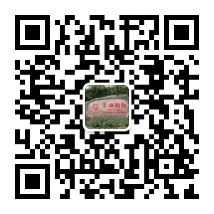 1-2510300R05G38 非凡国际(中国区)有限公司-官方网站