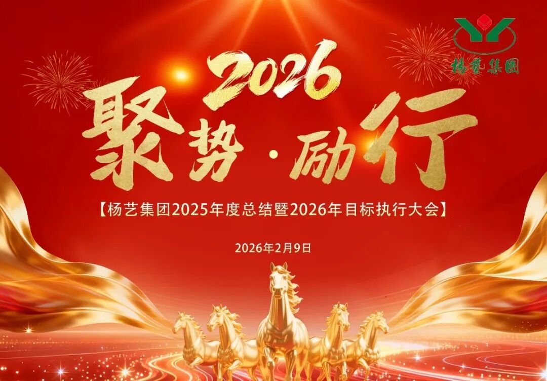 1-260224154UQ94 非凡国际(中国区)有限公司-官方网站
