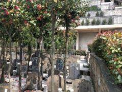 微改造，大情怀——老墓园规划设计的温度与智慧