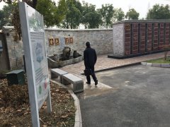 以心为笔，绘就可落地的生命花园